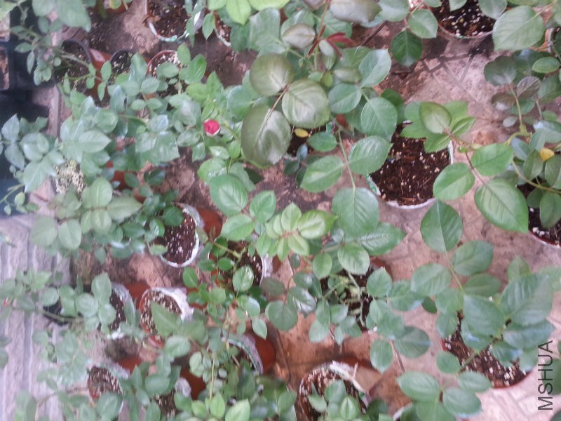 20150610_141404_meitu_4.jpg