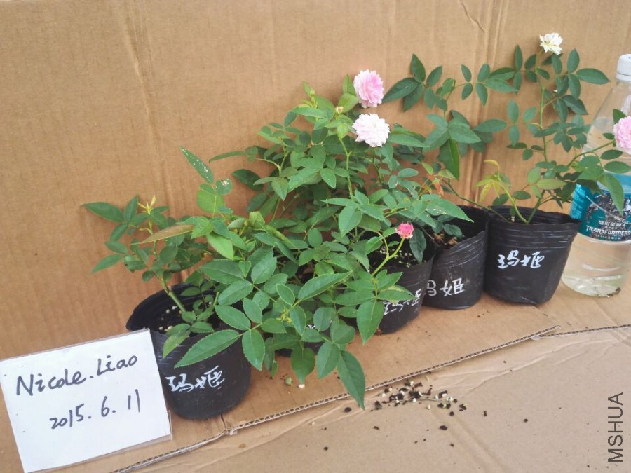 QQͼƬ20150611103858.jpg