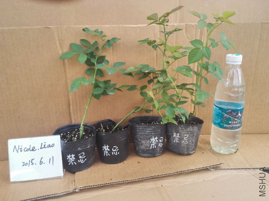 QQͼƬ20150611103916.jpg