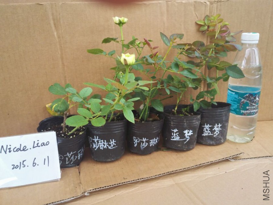 QQͼƬ20150611103923.jpg