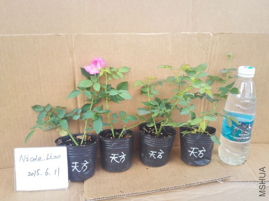 QQͼƬ20150611103927.jpg