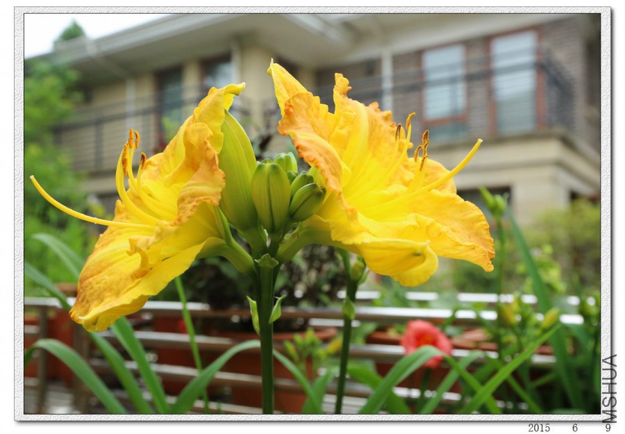 2015060902.jpg