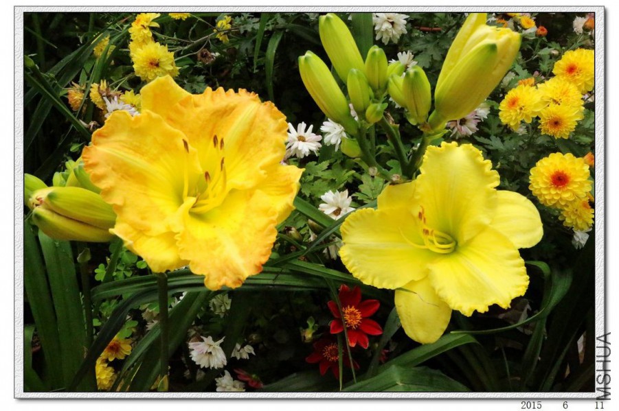 2015061101.jpg
