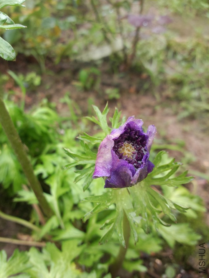 P50602-163949.jpg