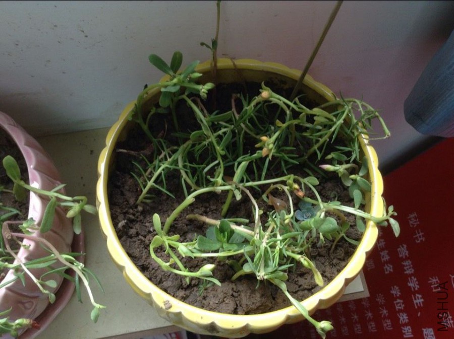 QQͼƬ20150612104430.jpg