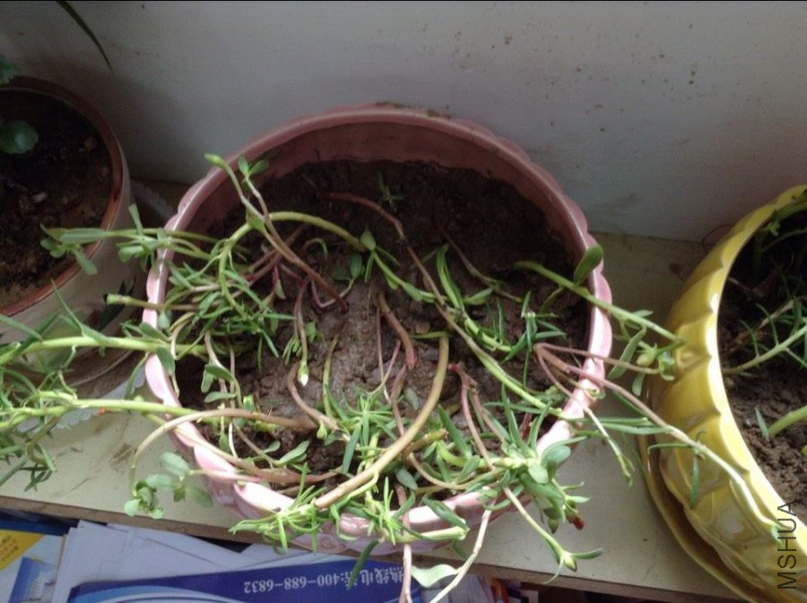 QQͼƬ20150612104425.jpg