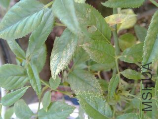 UC_Photo_007.jpg