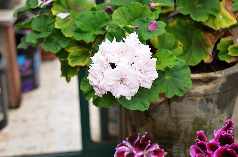 ���� (6).jpg