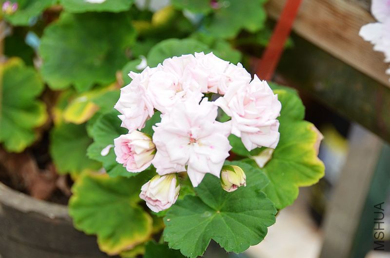 ���� (7).jpg