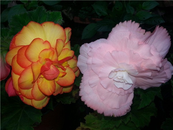 20150612_091611.jpg