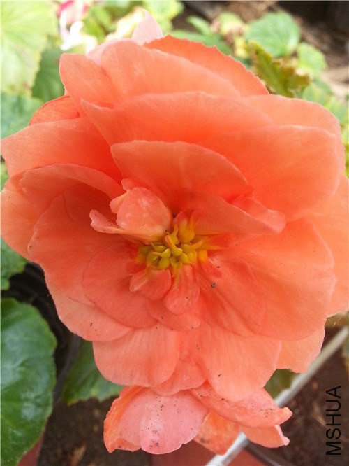 191055hb9bbgp09vhd92m0.jpg