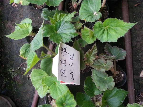 20150612_092109.jpg