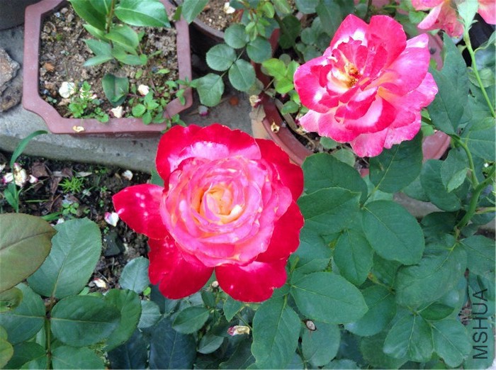 2015-06-12 172940.jpg