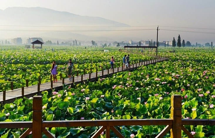 �ɻ�����԰