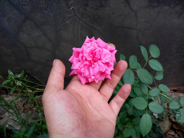 ����  �еڶ���