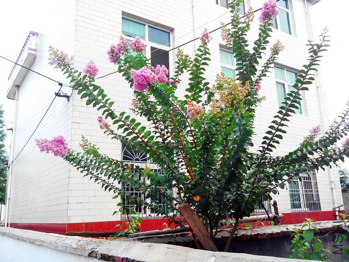 �ſڵ���ޱ����~