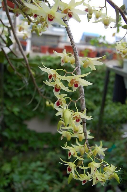 DSC_00770077.JPG