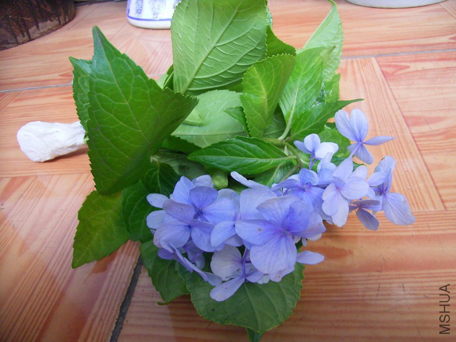 RIMG4165_1024x768.JPG
