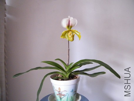 ���� 04 003.jpg