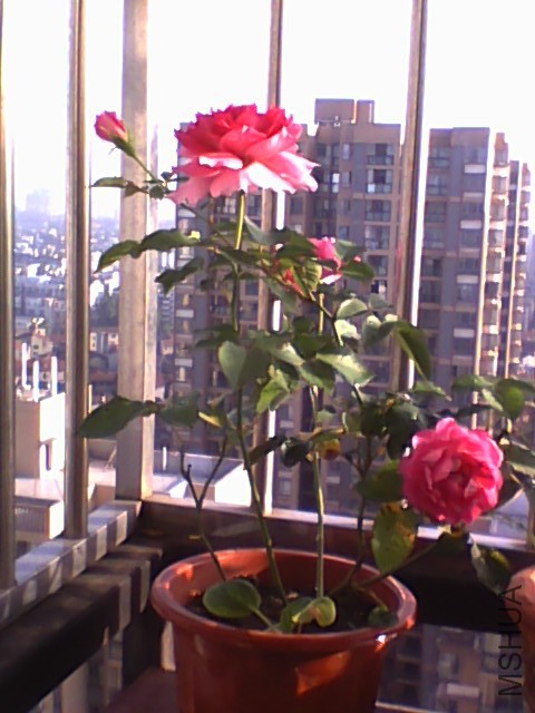 20150612064519.jpg