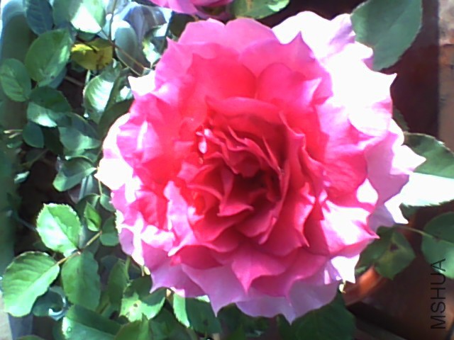 20150612064440.jpg