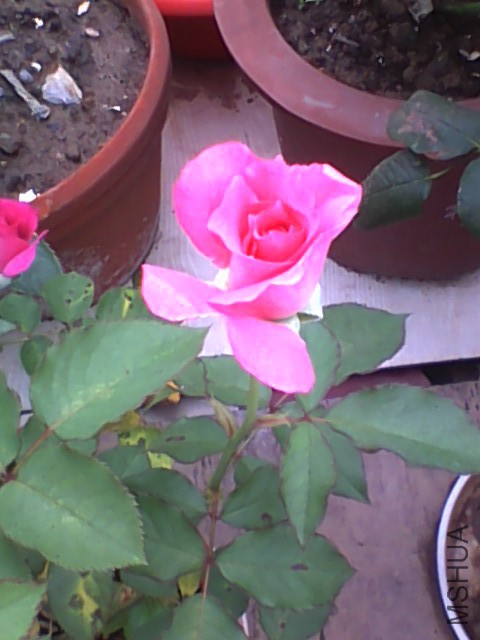 20150609144527.jpg