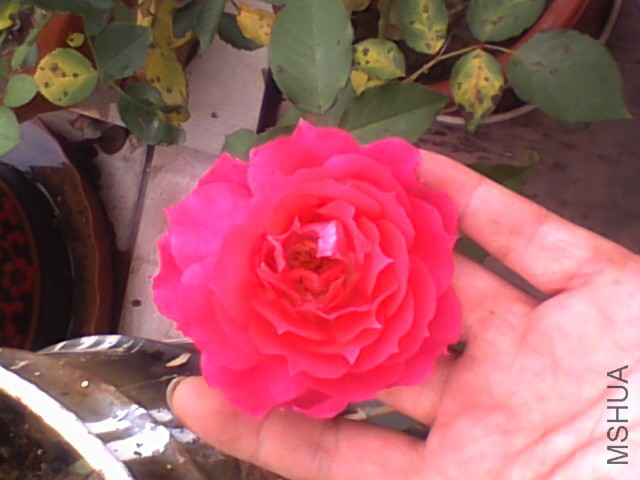 20150609120123.jpg