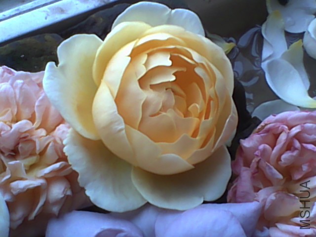 20150609144333.jpg