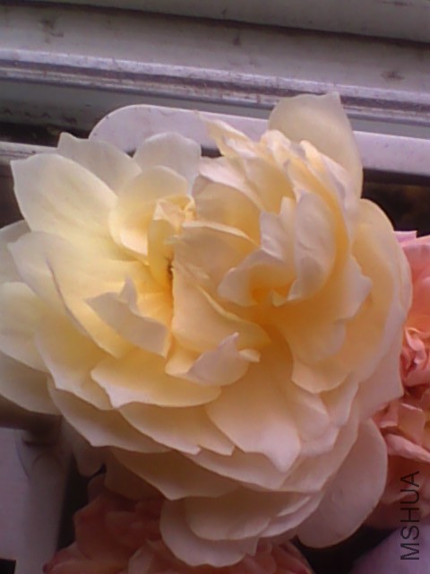 20150609111703.jpg
