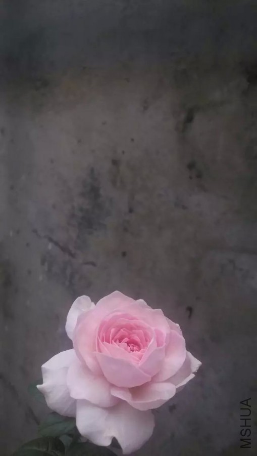 �ҵ���