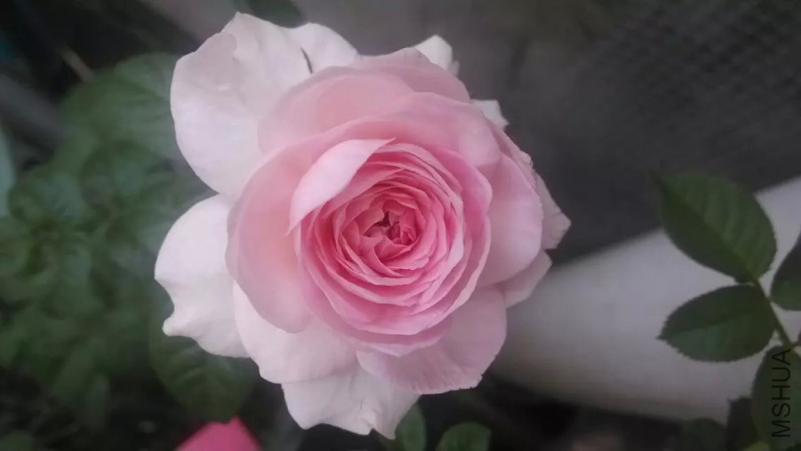 �ҵ���