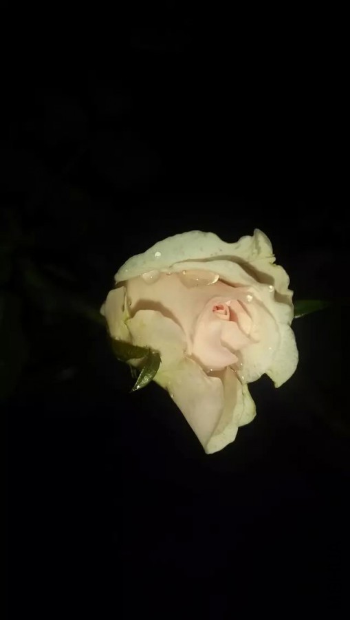 ���D