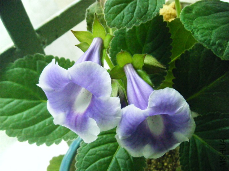 DSCF1228_����.jpg