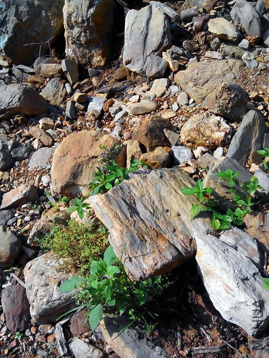 ����ʯ��ʯͷ