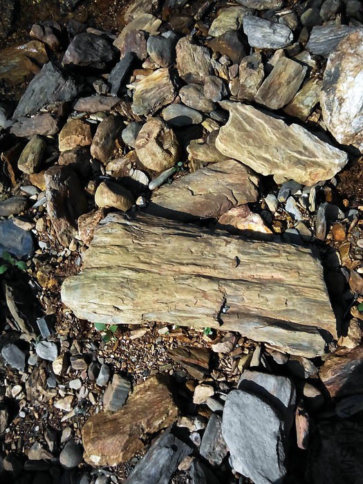 �㿴��õ�̤��ʯ~