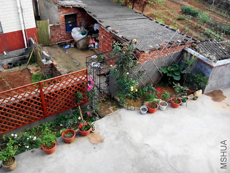 ����ǽ�������