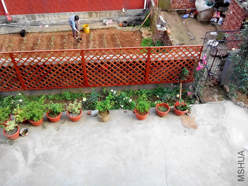 ����ǽ�������