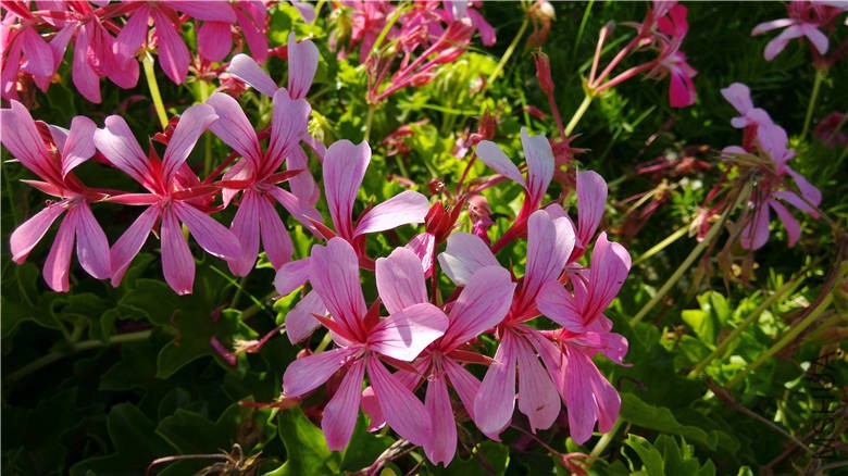 �½��ļ��� (5)IMG_20150613_173537.jpg