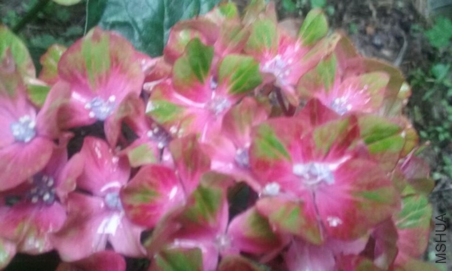 QQͼƬ20150614174253.jpg