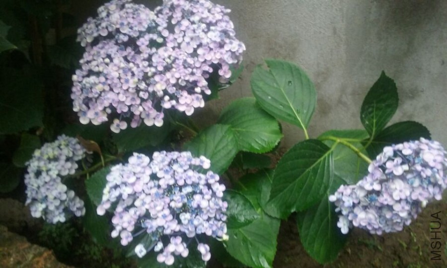 QQͼƬ20150614174306.jpg