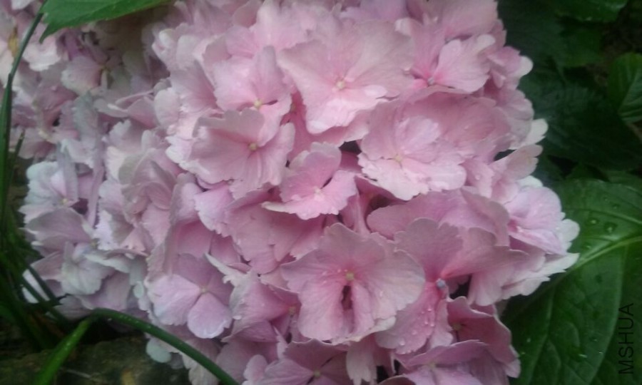 QQͼƬ20150614174319.jpg