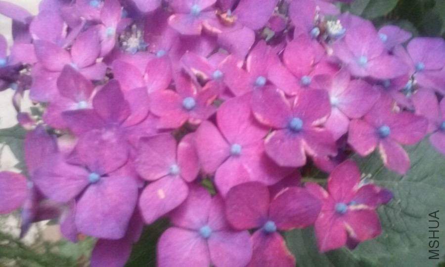 QQͼƬ20150614174329.jpg