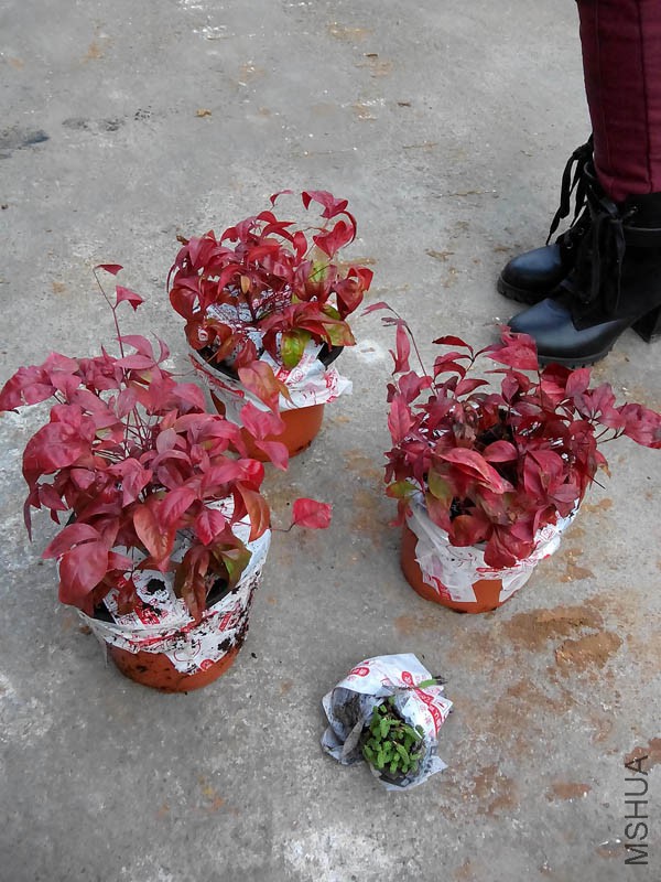 ����ʱ�����