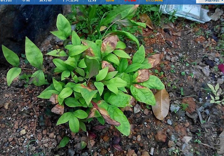 �������������~