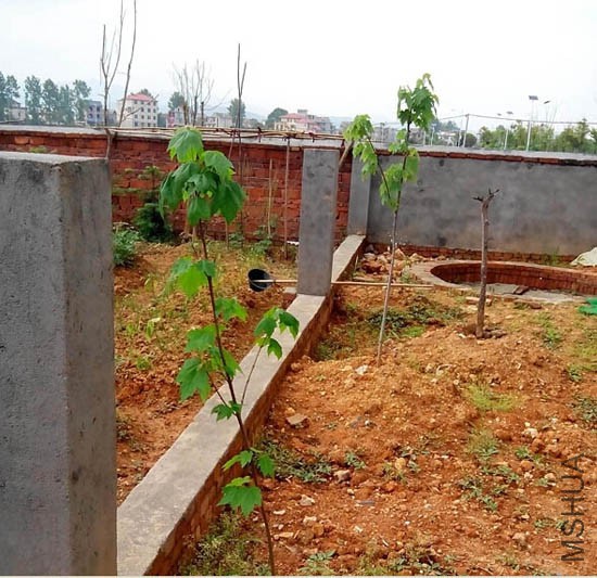 15�괺�������������������~�ɹ�OK~