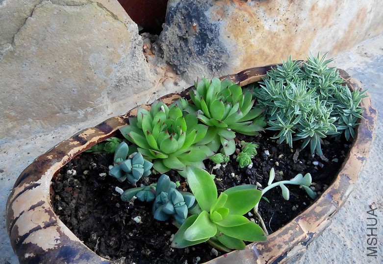 ����¶��˳���ɻ������Ķ���~