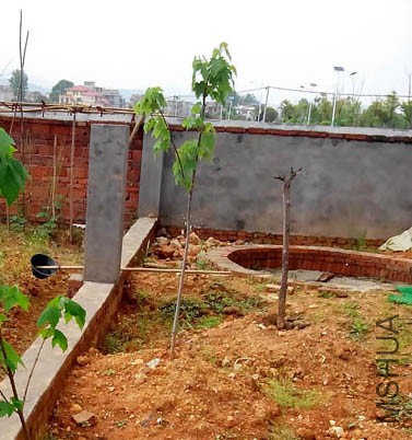 �ҵ�Ҳ�������������~