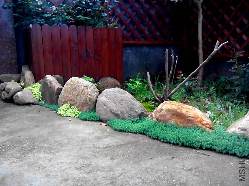 ֮ǰ��������~