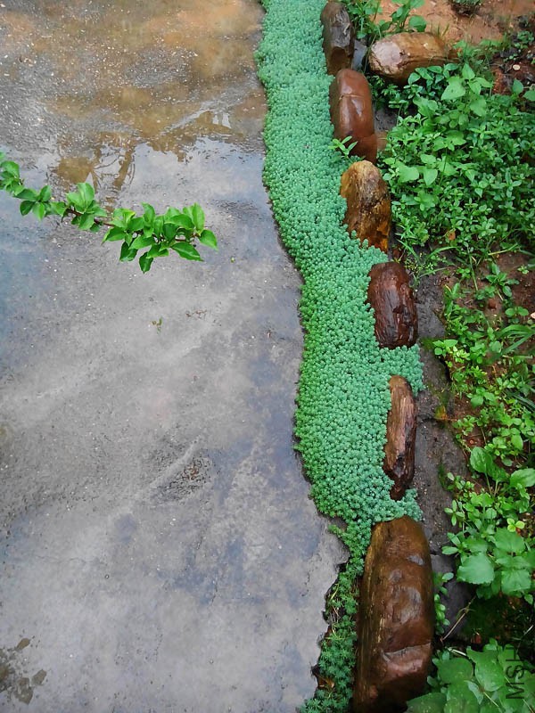 �˼ұ��裬��Ҫ����~��