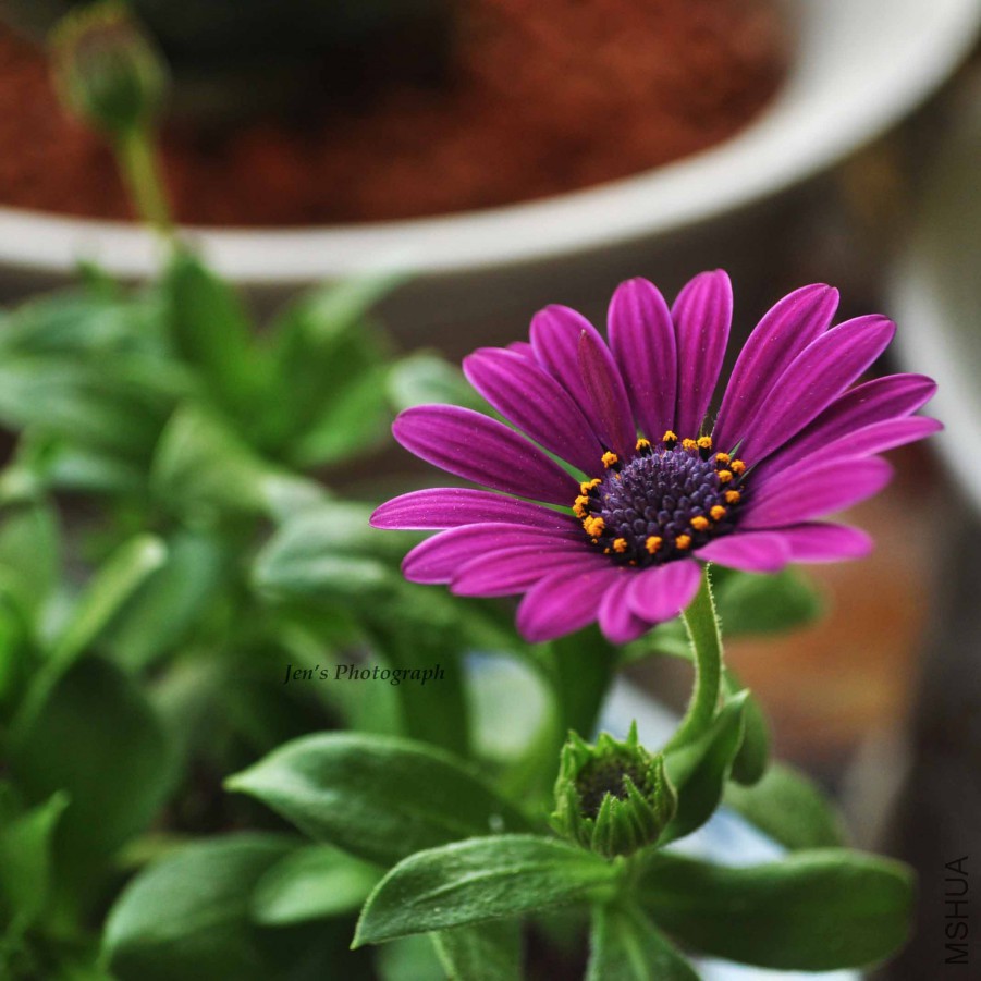 ��Ŀ�� �ϣ�С��.jpg